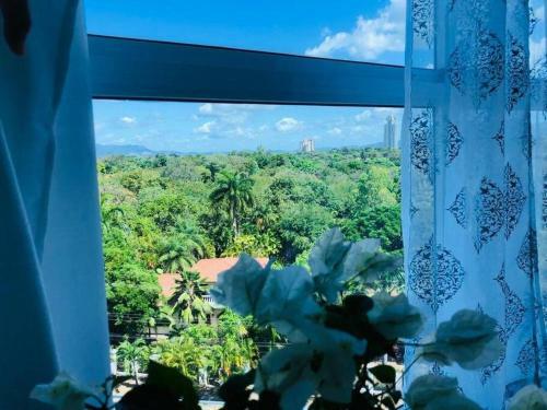 Apartamento Excelente Depa Tipo Suite