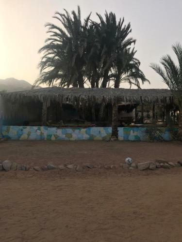 Sababa Village