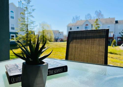 Apartamento Superbe Condo Plage-memphremagog