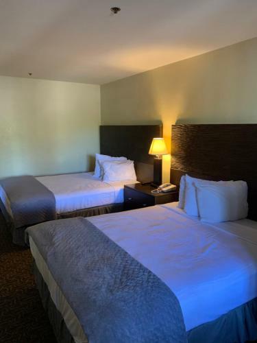 Hotel Extend-a-suites Tempe