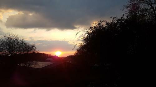 La Chaponni�re