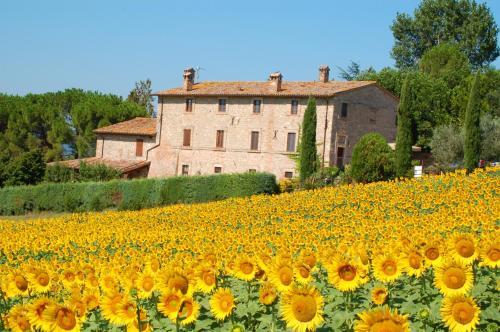 Agroturismo Agriturismo Casale Dei Frontini