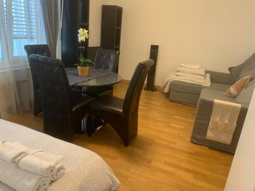 Apartamento Nice Studio Jet D'eau