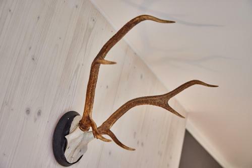 Apartamento Alpinlife Chalet