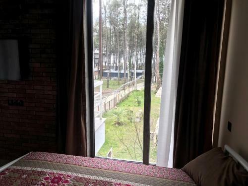 Shekvetili Apartment Pepo