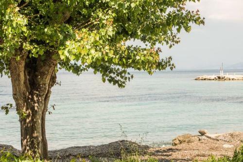 Apartamento Theofilia Sea Side Studio