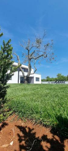 Pool House Klarici