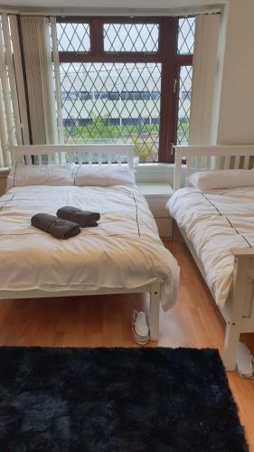 Bed & Breakfast Dublin Airport Lodge