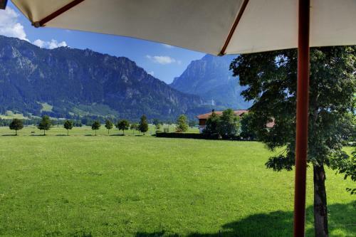 Apartamento Appartments Coloman