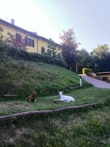 Apartamento Casa Vacanze I Boidi