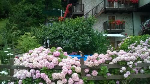 Apartamento Antica Casa Ortensia
