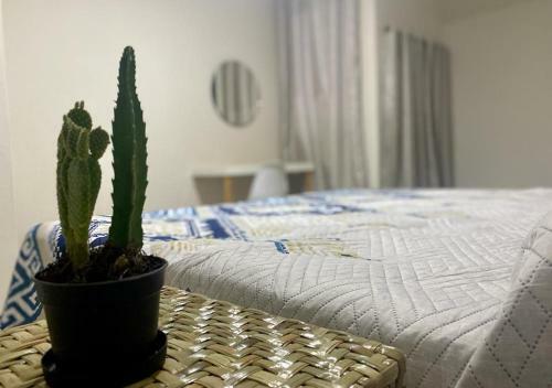Hostal Casa Cempoal