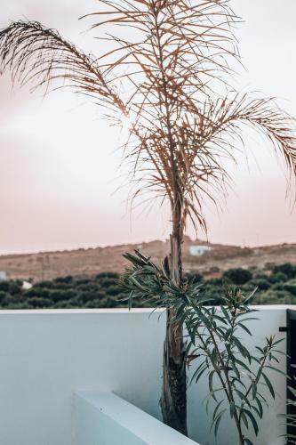 Villa Nepenthe