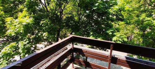 Sz�chenyi Apartman