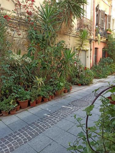 Apartamento La Casetta Nel Centro