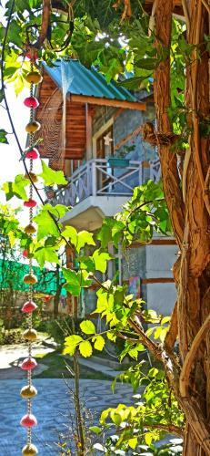 Meraki Cottages