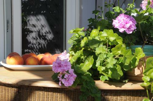 � La Chouette B&B