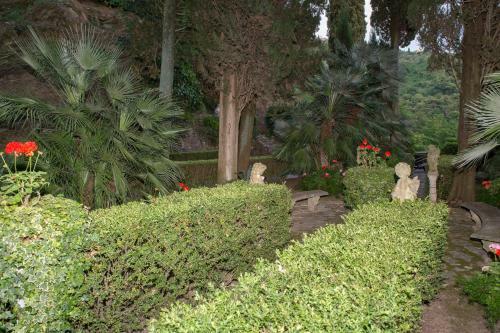 Bed & Breakfast Villa Alta