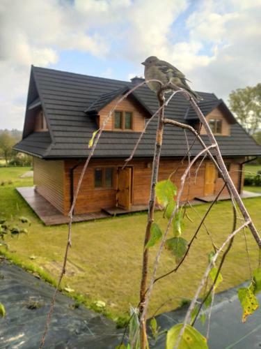 Apartamento Caban�wka