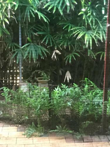 Birdsong Gardens