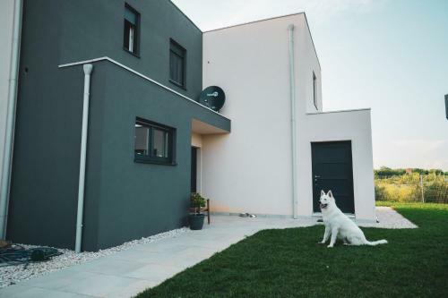 Apartamentos Enjoy Green, App With Large Swimming Pool