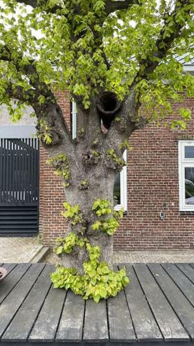Apartamento Puur Eastermar - Monumentaal, Authentiek En Luxe Koetshuis