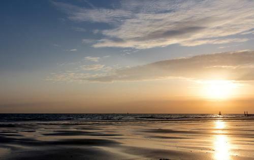 Boszicht 5 Aan De Kust