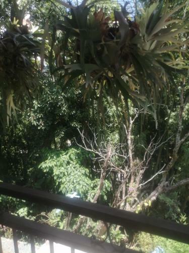 Apartamento Caba�a Las Lomitas