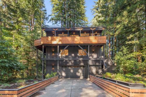 Redwood Dreams