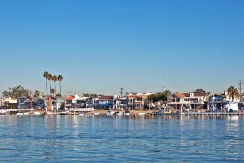 Harbor Waves