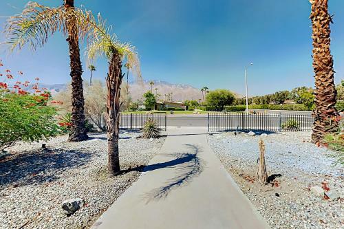 Desert Oasis