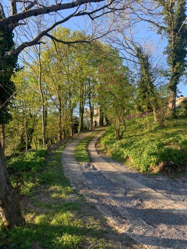 Apartamento Suite Tino