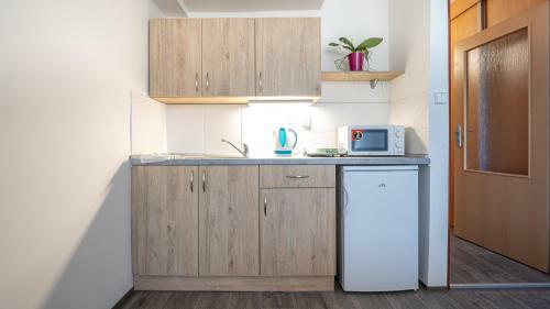 Albergue Apartm�ny A Studia Z�meck� Park