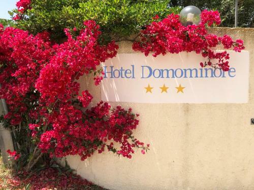 Hotel Domo Minore