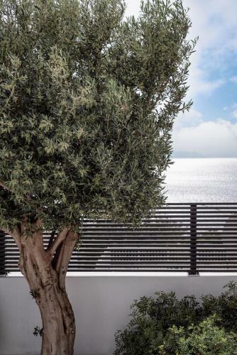 Black Stone Villa