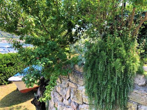 Apartments With Boat Mooring Marija
