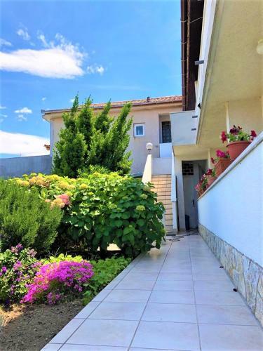 Apartments With Boat Mooring Marija