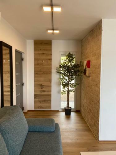 Villa Od Moore Starigrad