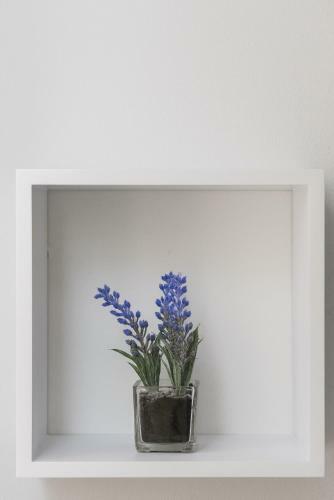 Studio Apartment Bilic