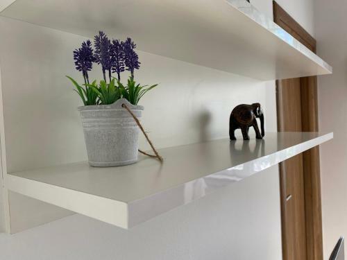 Apartman Mazalin