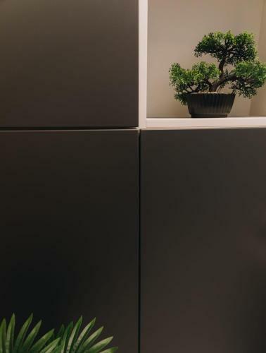 Tulip Apartment