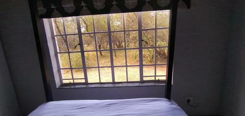 Hyena House 4180