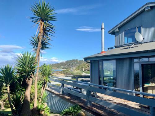 Surf Shack