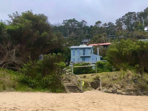 Surf Shack