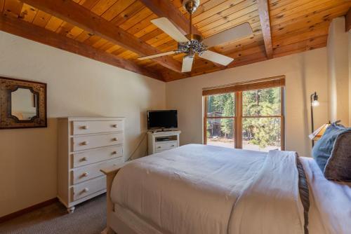 Radiance In The Woods
