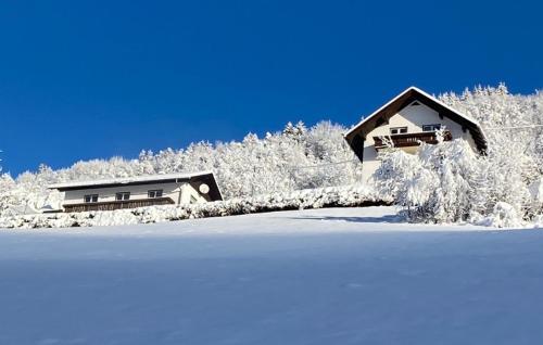 Apartamento Haus Nocky Mountains