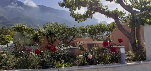 Villa Liocharis Akro