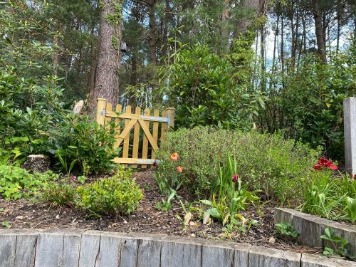 Apartamento Woodland View