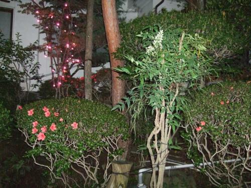Marunaka Ryokan