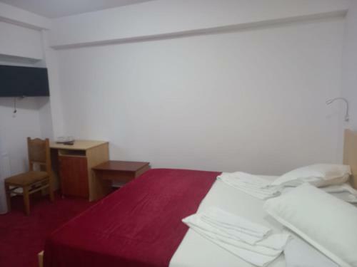 Hotel Vila Ioana